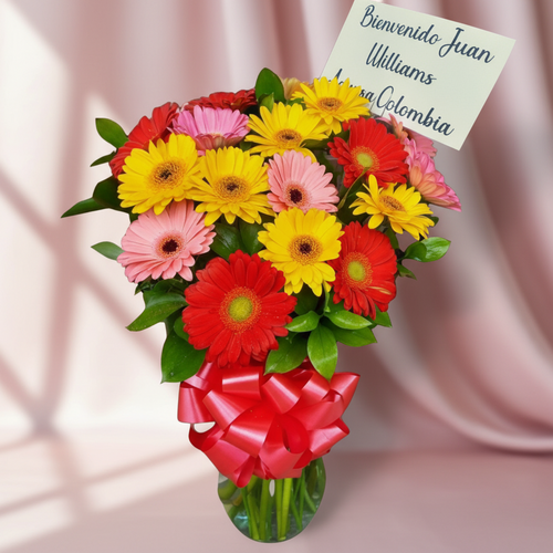 Arreglo de gerberas de colores con tarjeta de bienvenida Ramo de gerberas rojas, amarillas y rosas en florero de vidrio con lazo rojo y tarjeta de bienvenida sobre fondo rosa